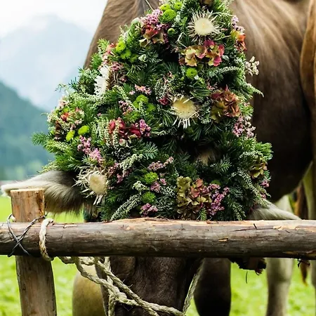 Apartmán Wildgruen Mini 10 *